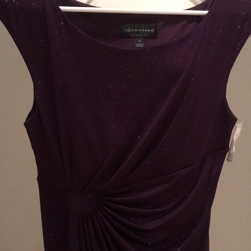 NWT Eggplant Sparkle Colored social Dress
